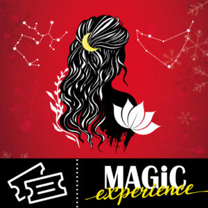 MAGiC Experience